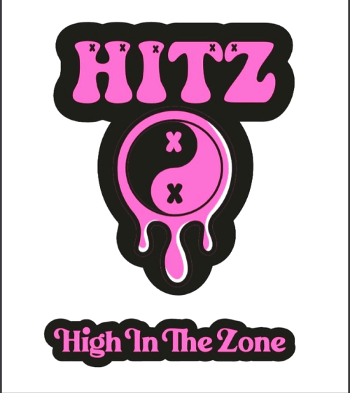 hitzdisposableshop.com